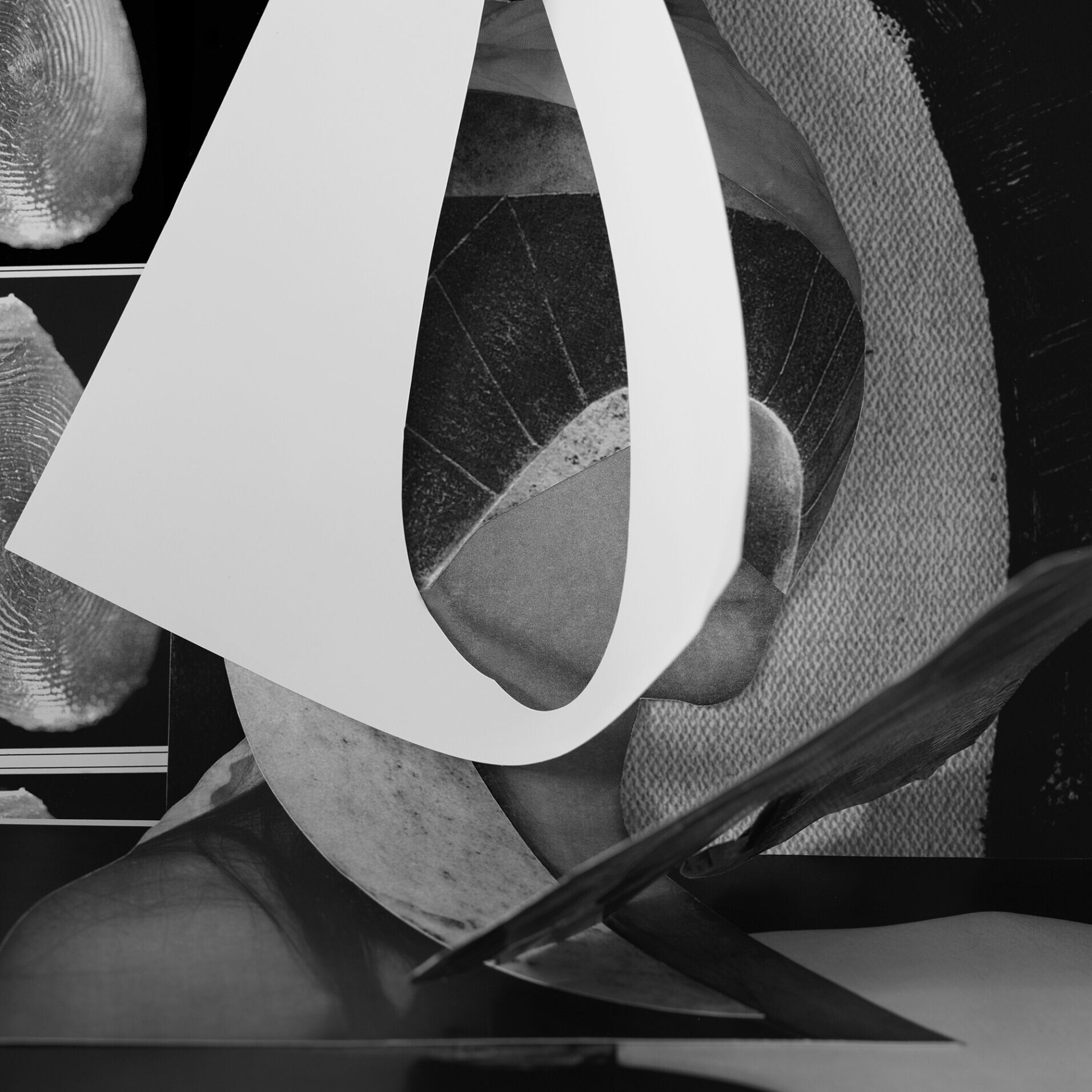 Image © Simone Darcy, 'Looped', 2018