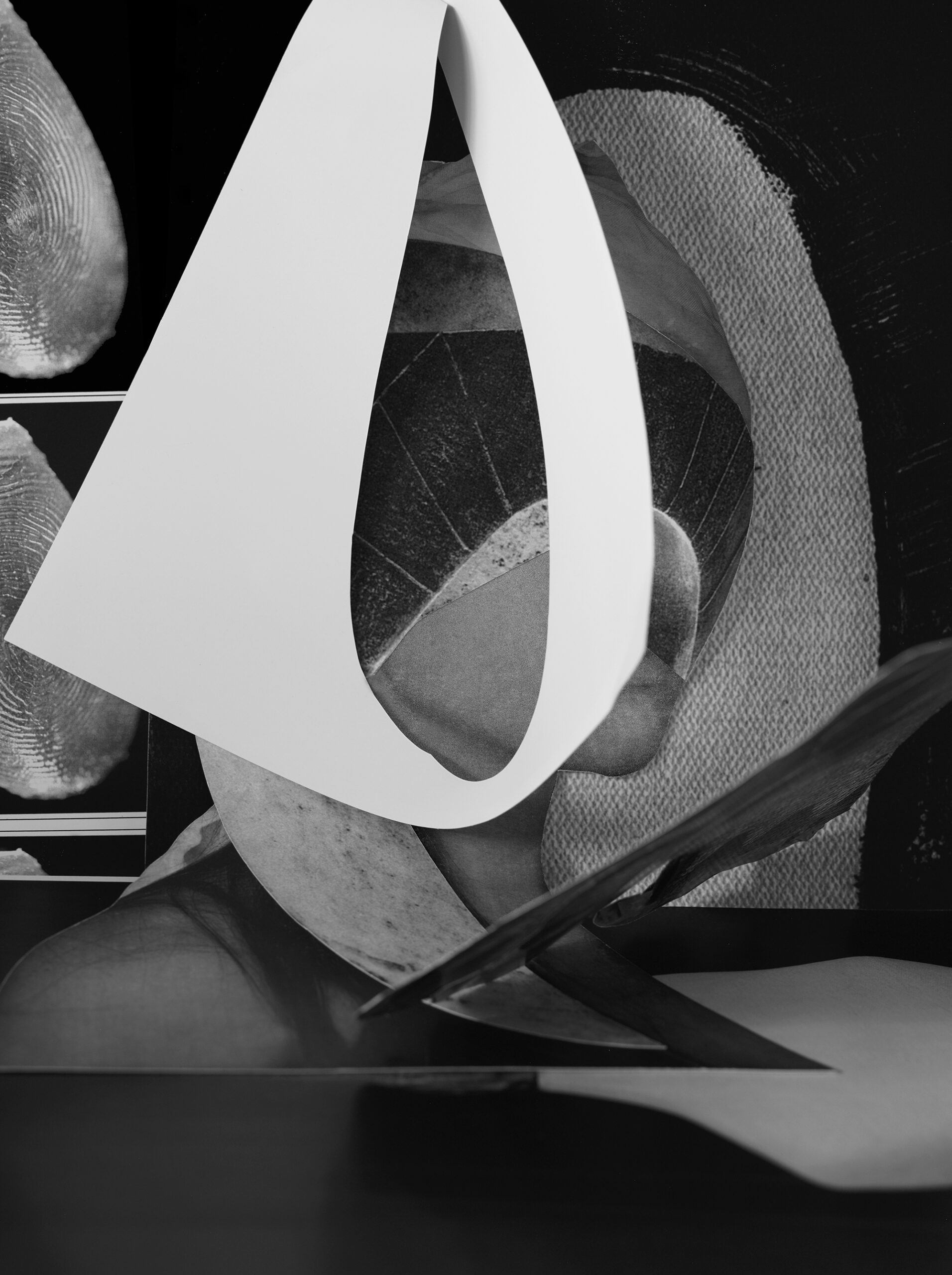 Image &copy; Simone Darcy, 'Looped', 2018