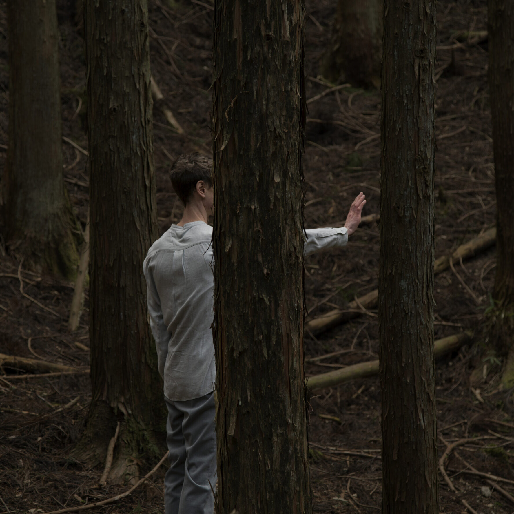 Image © Jacobus Capone, 'Sincerity and Symbiosis', video still