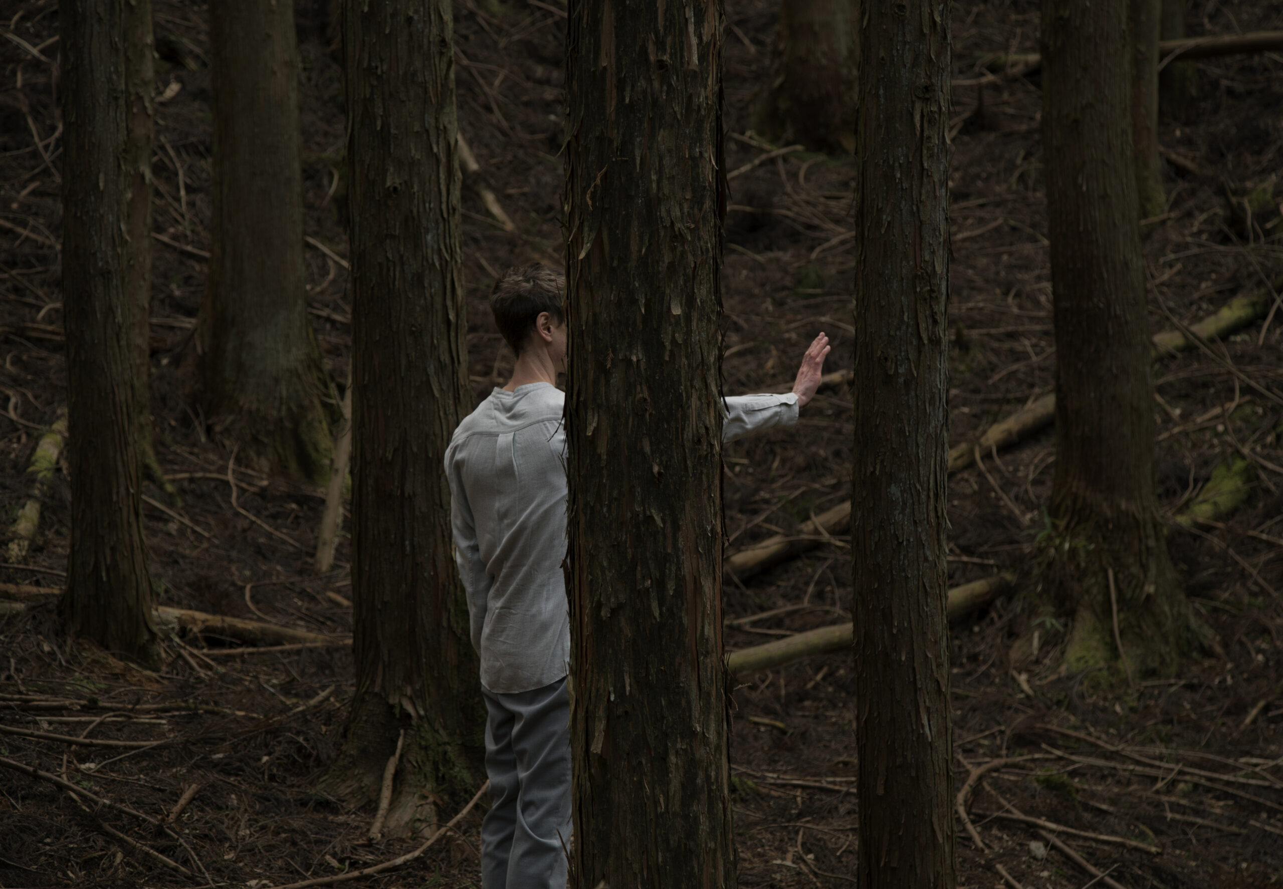 Image &copy; Jacobus Capone, 'Sincerity and Symbiosis', video still