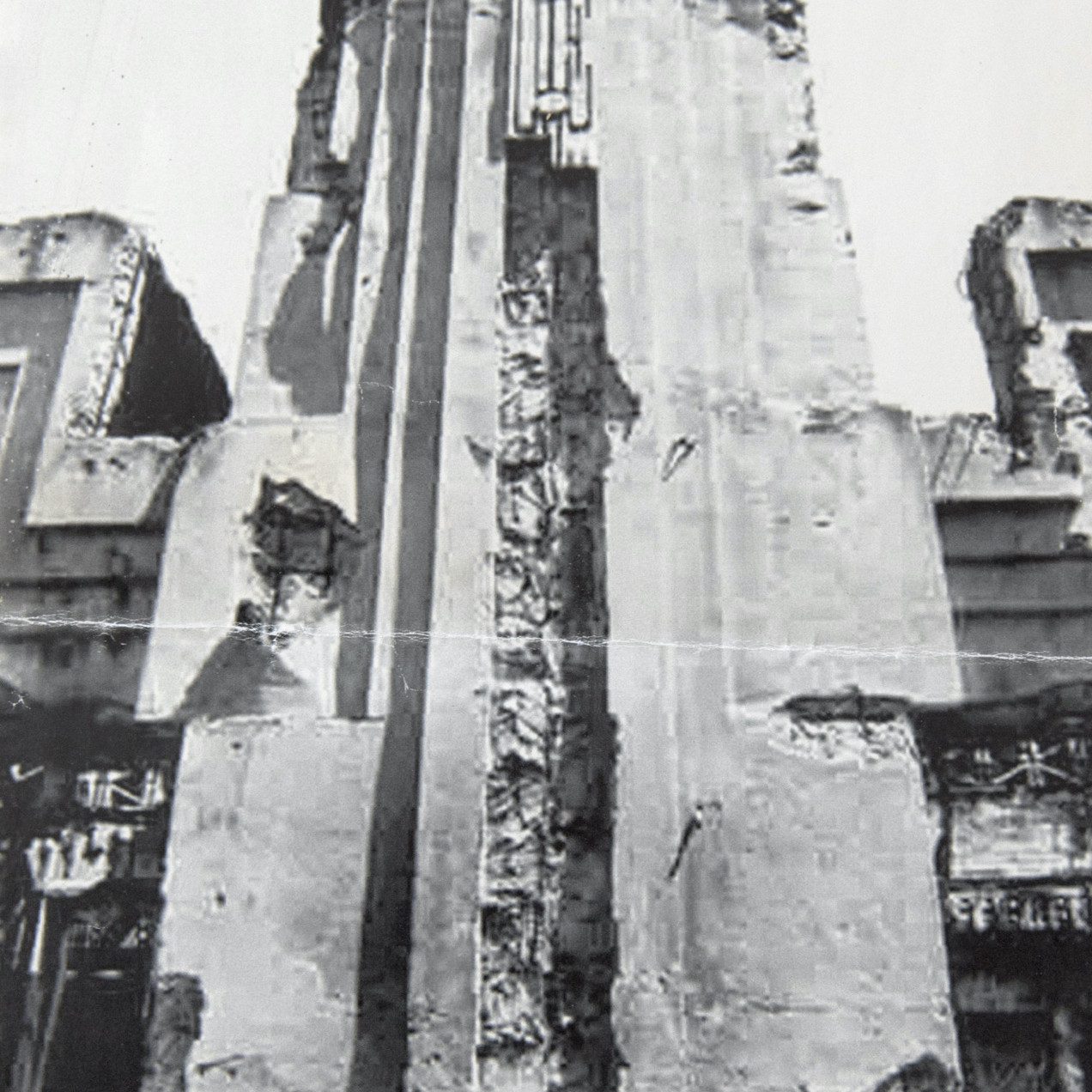 Image © Guy Fleming 'From the exhibition A Short History Of Decay'