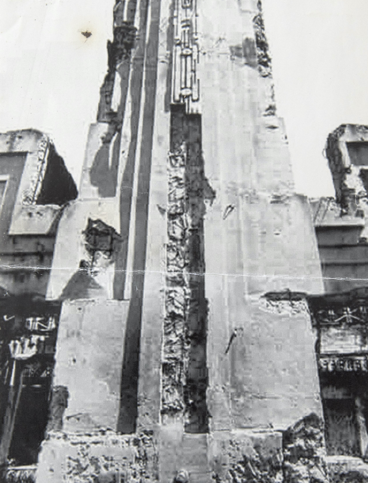 Image &copy; Guy Fleming 'From the exhibition A Short History Of Decay'