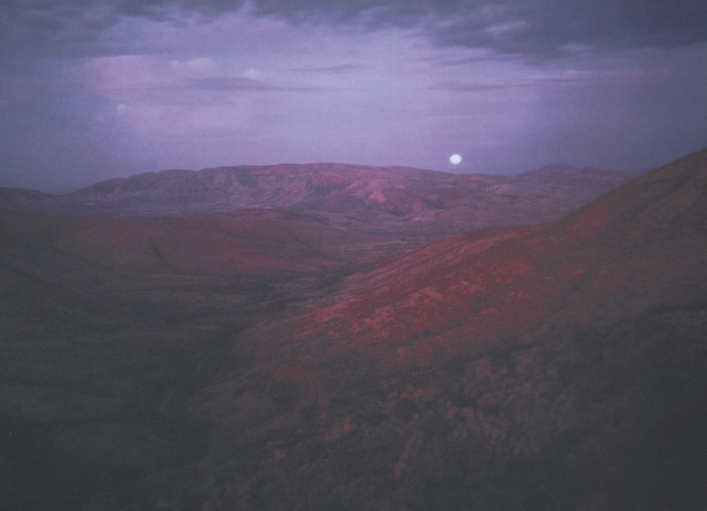 Image &copy; John Patterson 'From the exhibition Land'