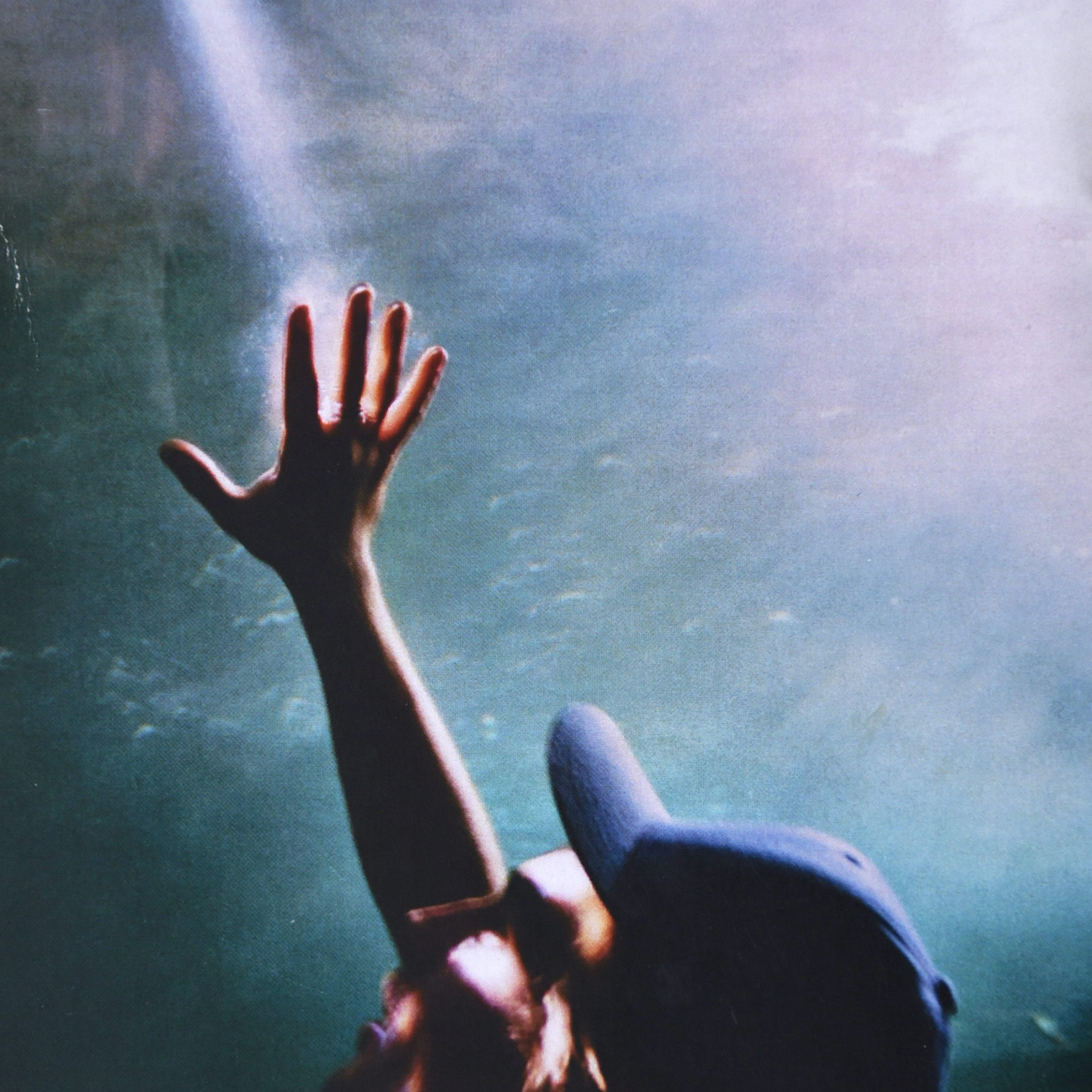 Images © Sam James 'From the Exhibition I'll Believe Anything'