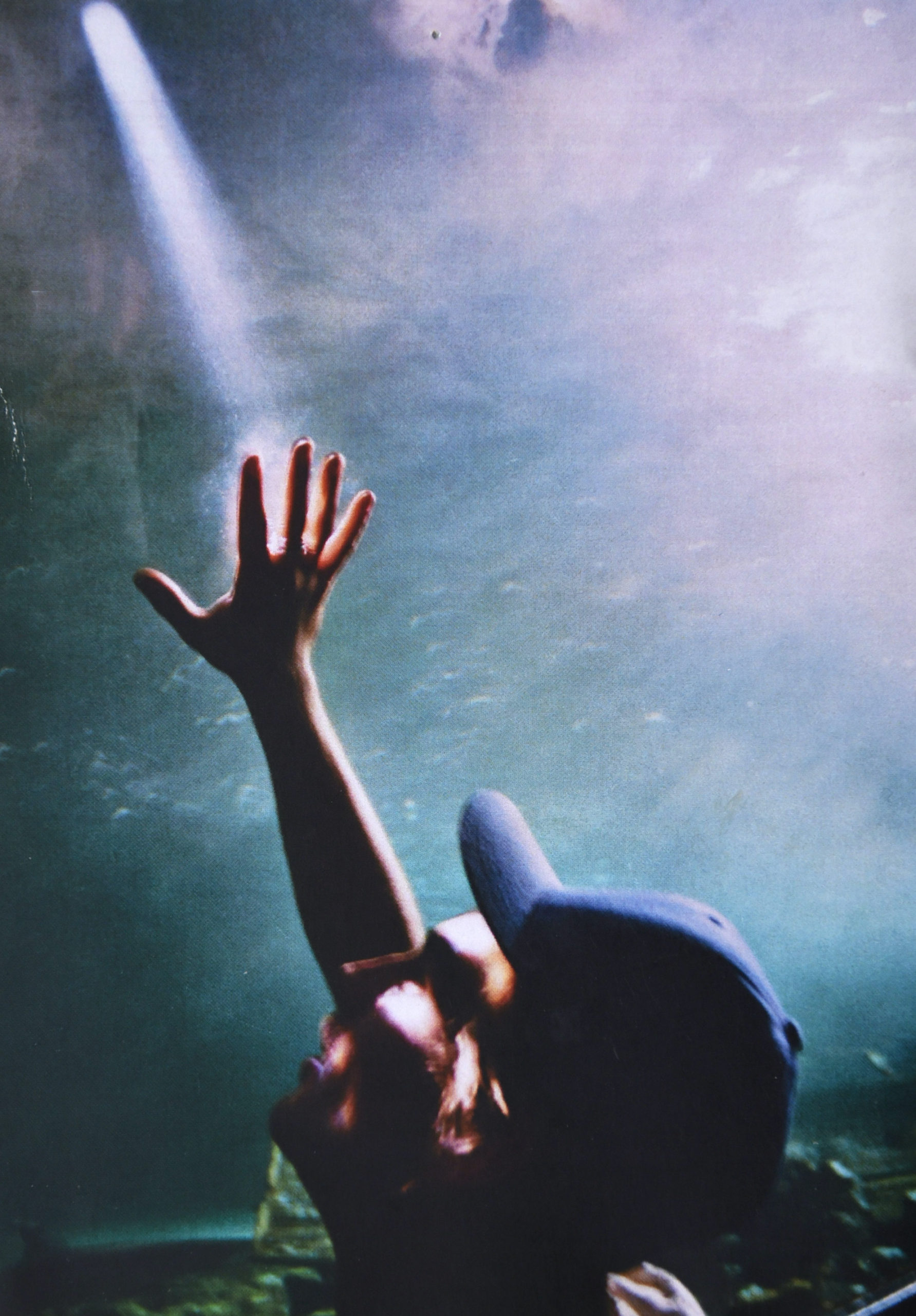 Images © Sam James 'From the Exhibition I'll Believe Anything'