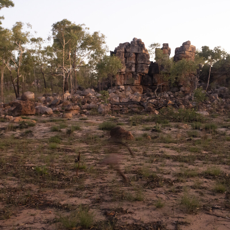 Image © Maria Fredericks 'Untitled', 2022 Pigment ink print on archival cotton rag 63 cm x 53 cm Ed. 1/5 + 2 AP