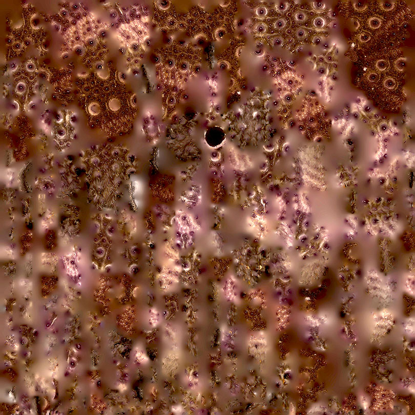 Image &copy; Gregor MacGregor, Sea Urchin Texture Map
